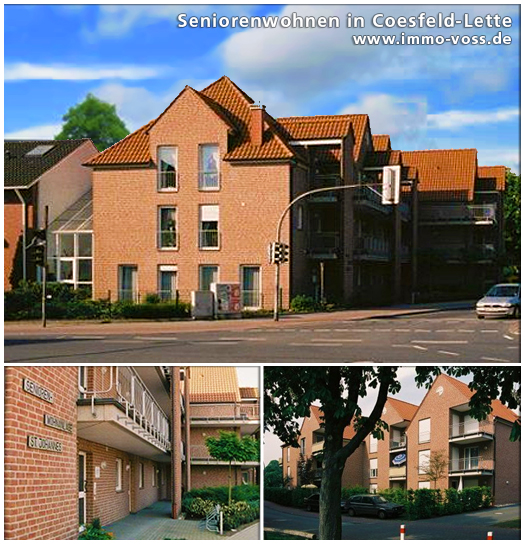 www.immo-voss.de, Immobilien Verwaltung, Coesfeld, Münster, Dülmen, Dresden, Sebnitz Voss Immobilien Verwaltung, Mieten, Kaufen, Grundstücke, Gewerbeimmobilien, Immobilien